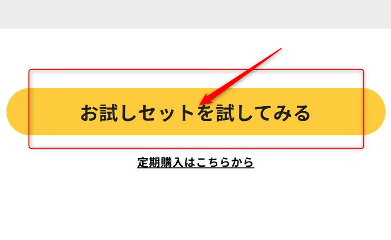 デリピックス お試しセット 注文手順